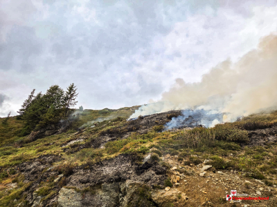 Vegetationsbrand - Märzengrund, Hart im Zillertal