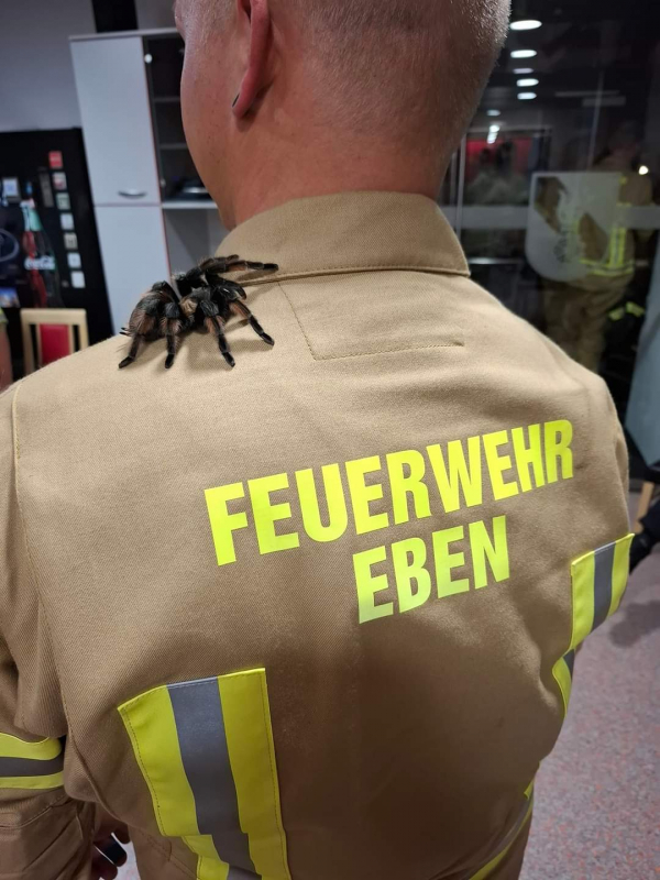 Schaurige Schulungseinheit der FF-Eben am Achensee