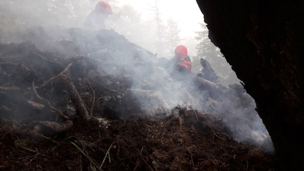 Kleiner Waldbrand nach Blitzschlag führte zu mehrstündigem Einsatz der FF Eben am Achensee