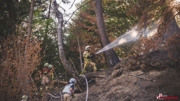 Schnelles Eingreifen verhindert Ausbreitung eines Waldbrandes